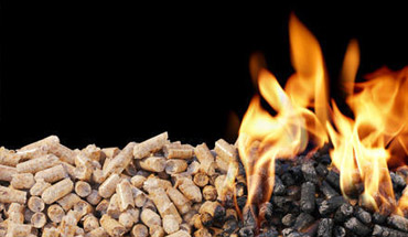 Price and Quality of Pellet