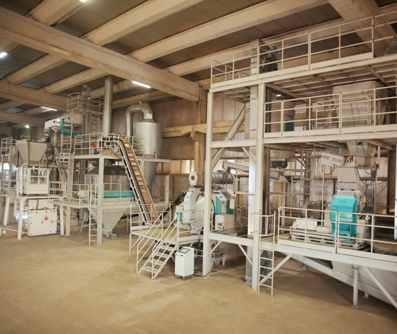 Production
